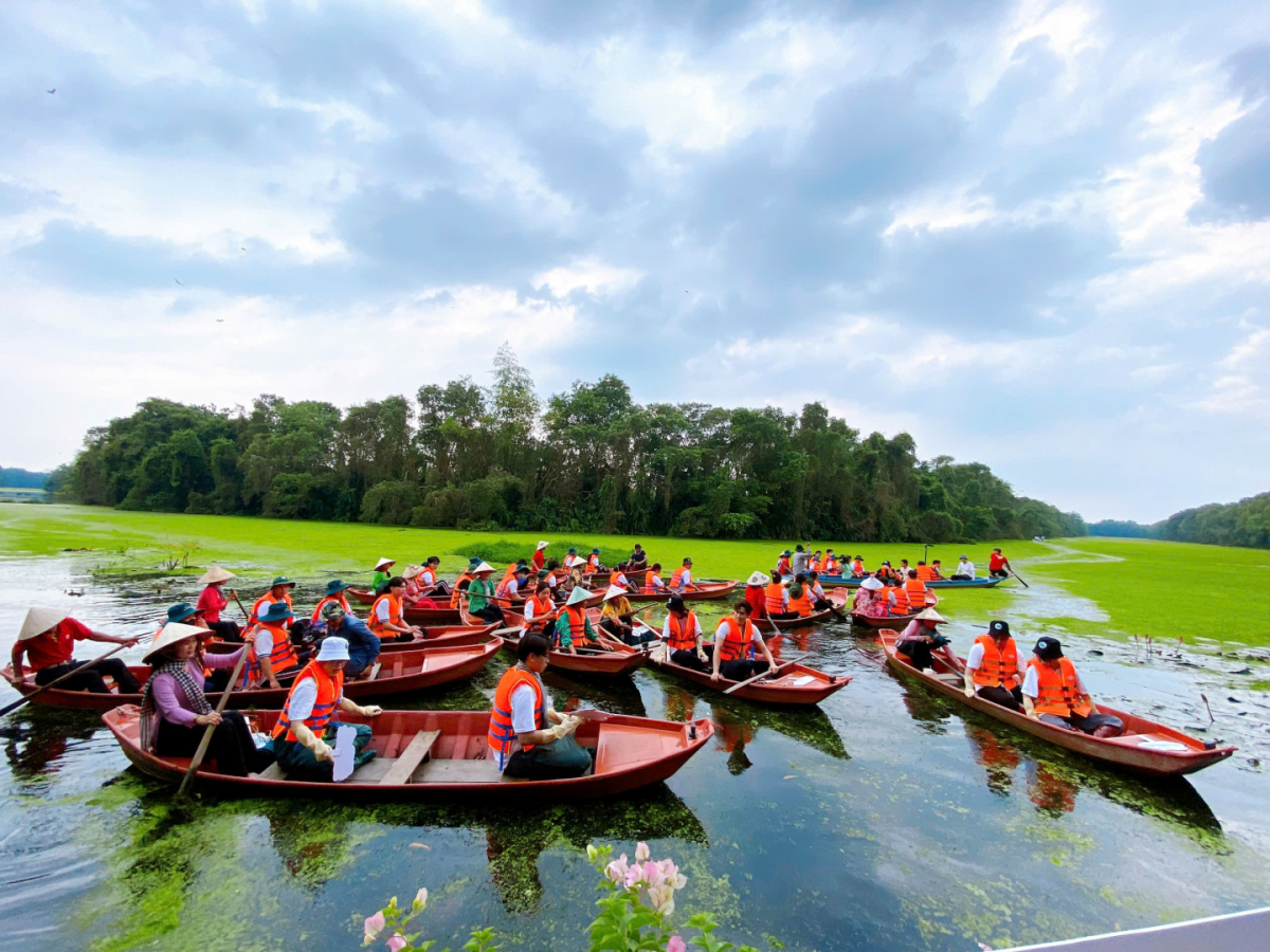 Mảng rừng phác họa non sông